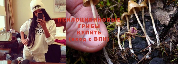 скорость Арсеньев