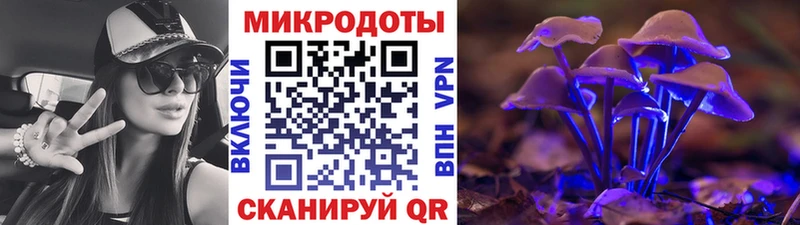 Галлюциногенные грибы Psilocybine cubensis Белозерск